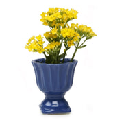 Brilliant Decorative Pot - Blue Pots Foxyavenue UK